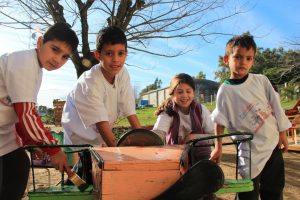 OLAVARRIA-SIERRAS BAYAS IMG_5275 - copia